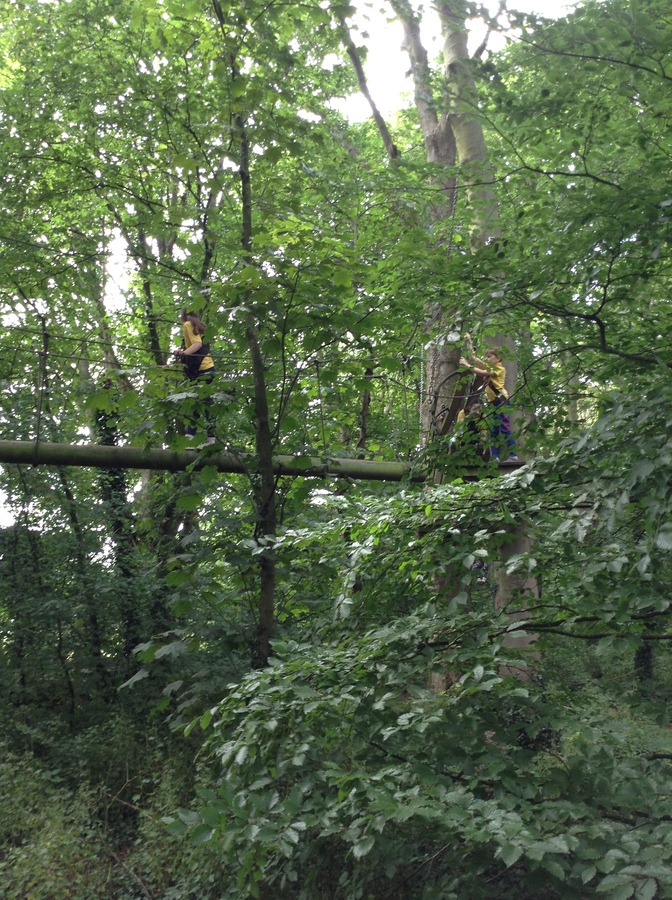 Arial Trail 2023